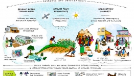 IFDC: A New Strategy to Feed the World