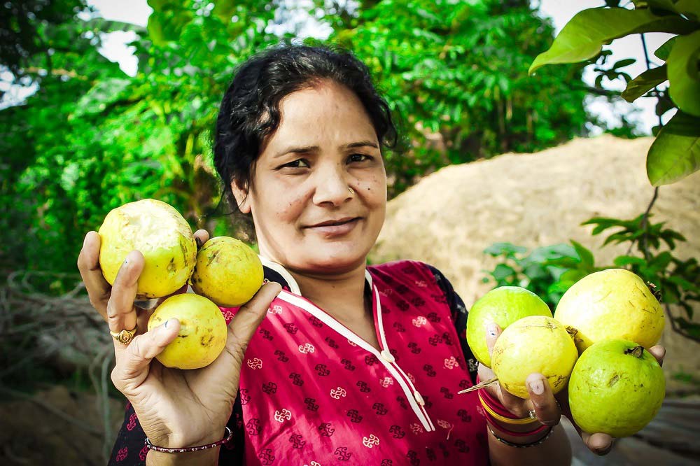 ‘In Africa, only 13% of countries have an adequate aggregate vegetable supply while in Asia 61% do’ (Photo credit: Pixabay).